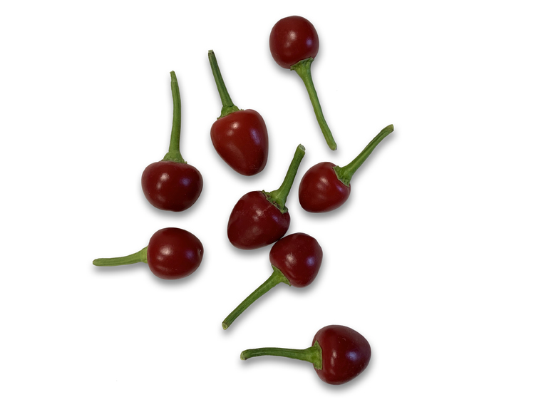 Aji Cereza