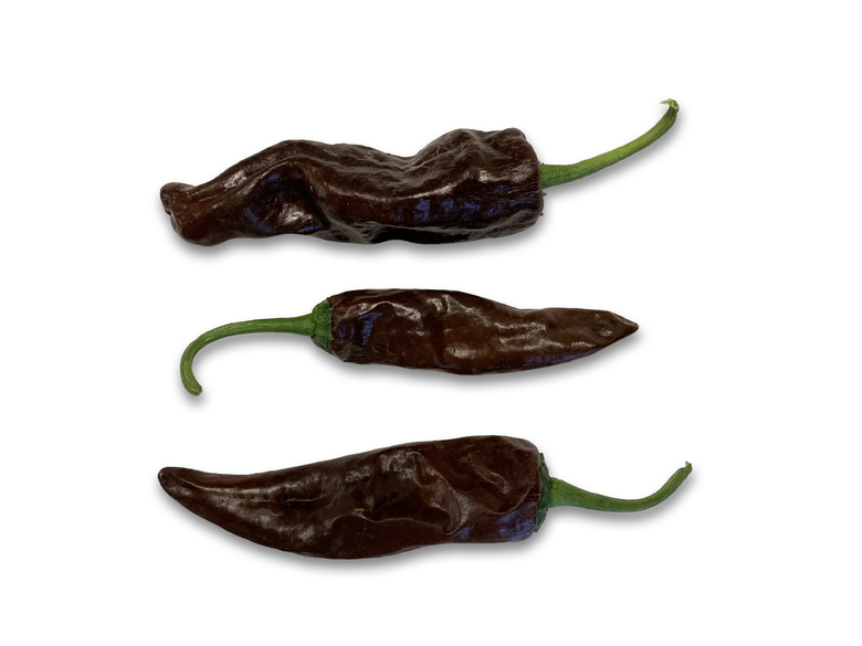 Chile Negro