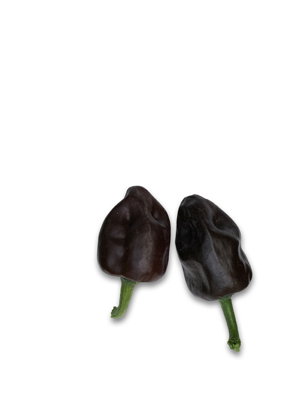 Chilhuacle Negro