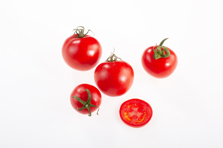 Buschtomate aus Lettland