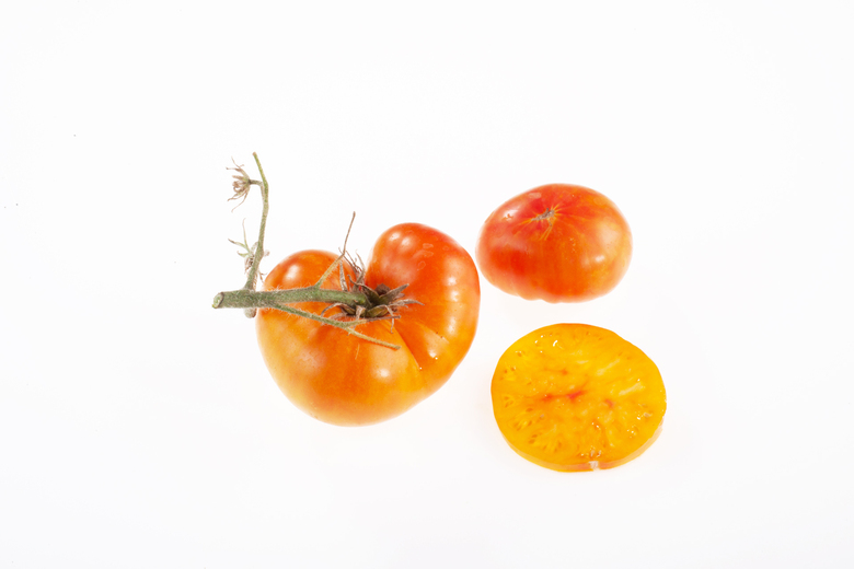 Brandywine Apricot