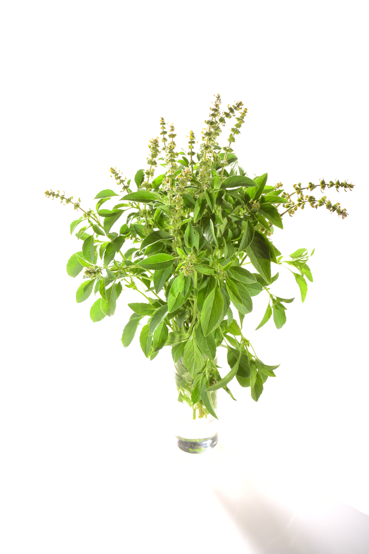 Kivumbasi Lime