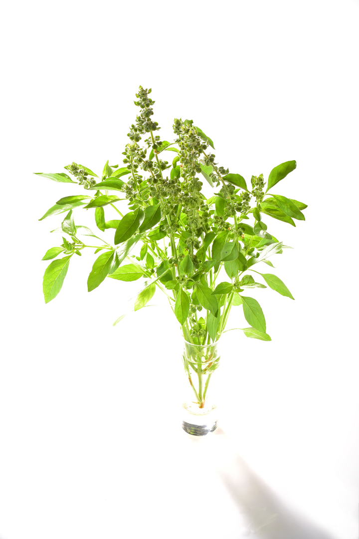 Lime - Thai Lemon 