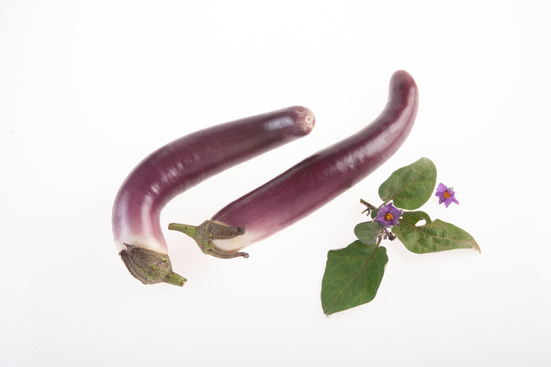 Banan
