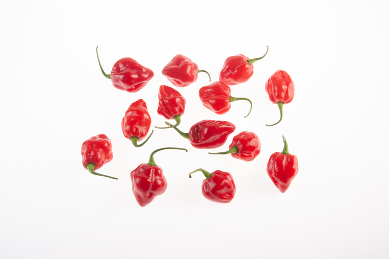 Habanero Peruvian Red