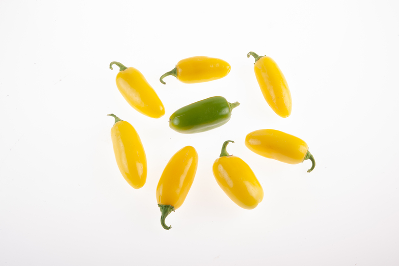 Jalapeno Neon Yellow