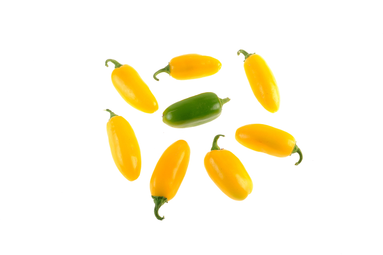 Gelber Jalapeno