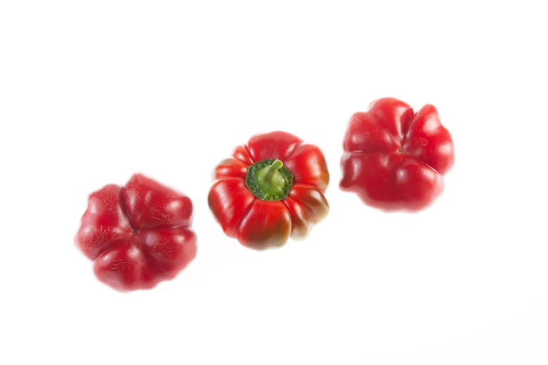 Pimento Super Red