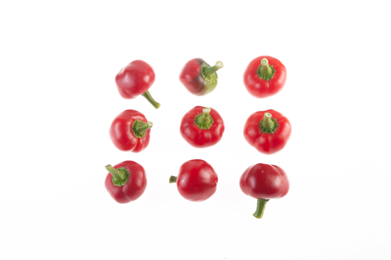 Large Cherry