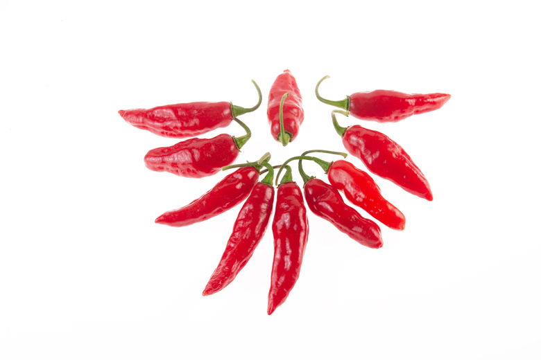 Maya Pimento