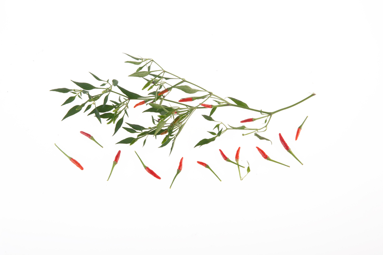 Chinese Ornamental