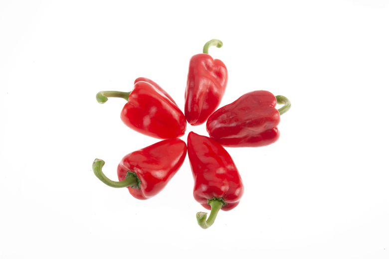Pimento Piquillo