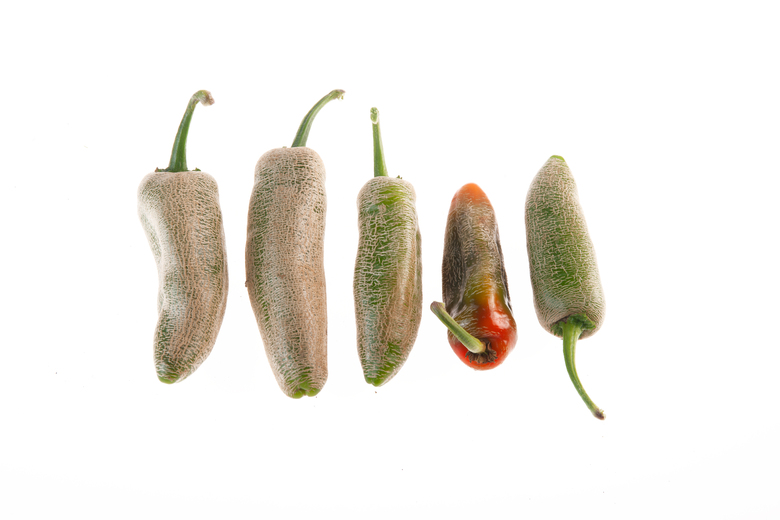 Farmer's Jalapeno