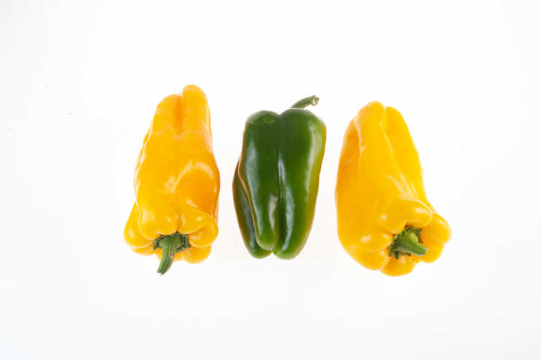 Nocera Giallo