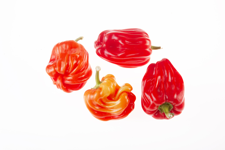Diamond Pepper