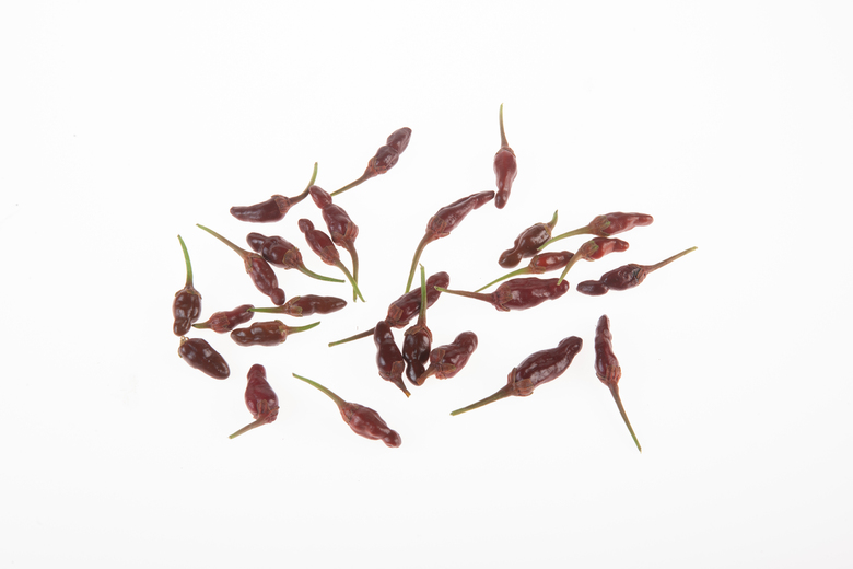 Bleeding Heart Chocolate