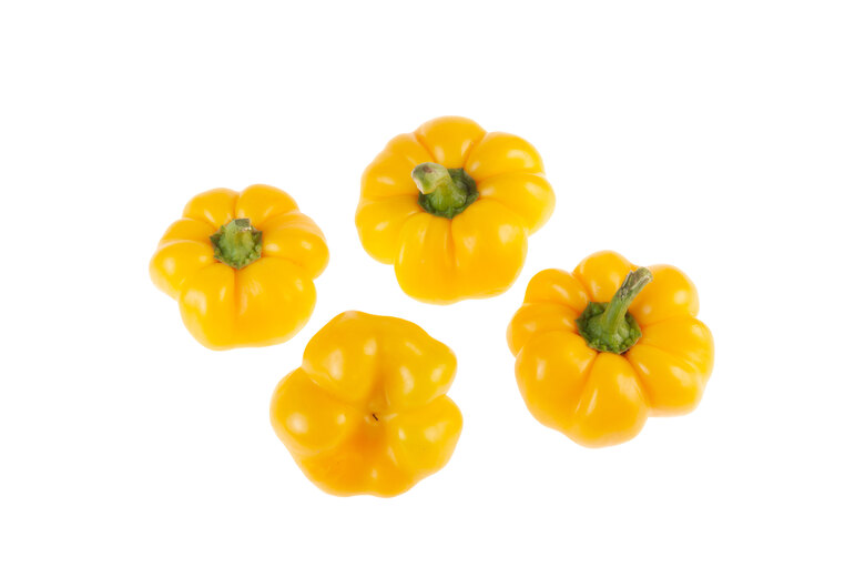 Doe Hill Golden Bell