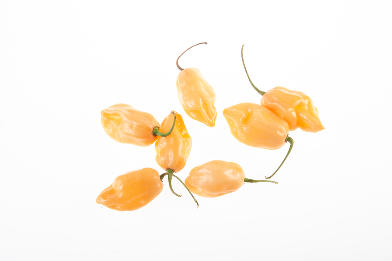 Habanero Peruvian Peach