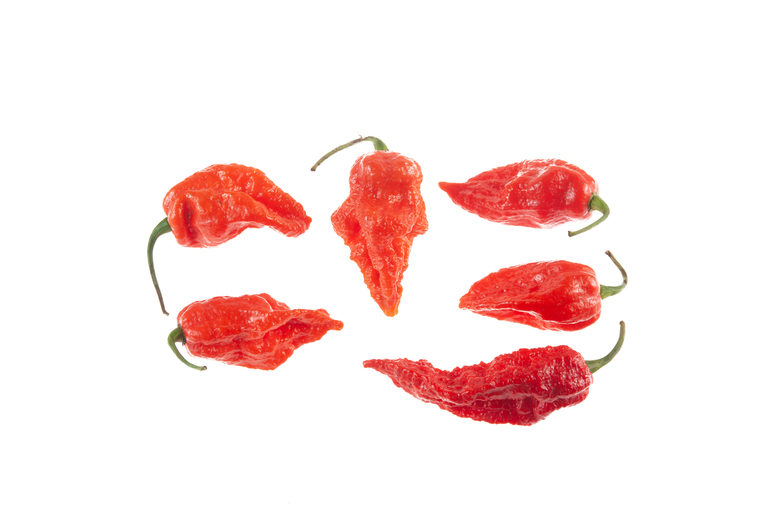 Reaper Equis