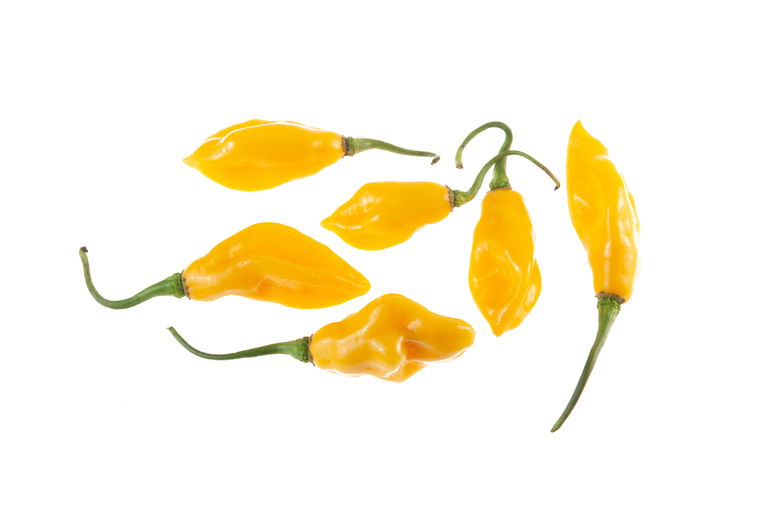 St. Lucia Yellow Seasoning