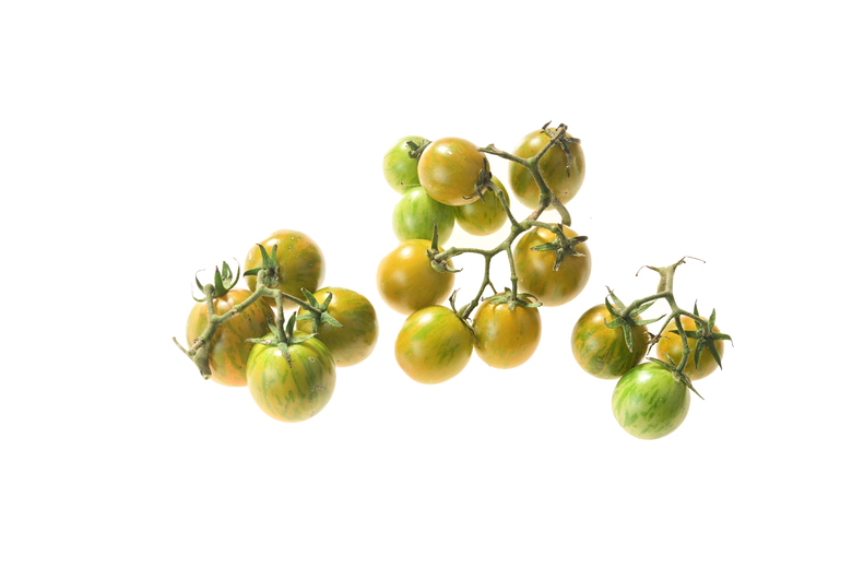 Green Zebra Cherry