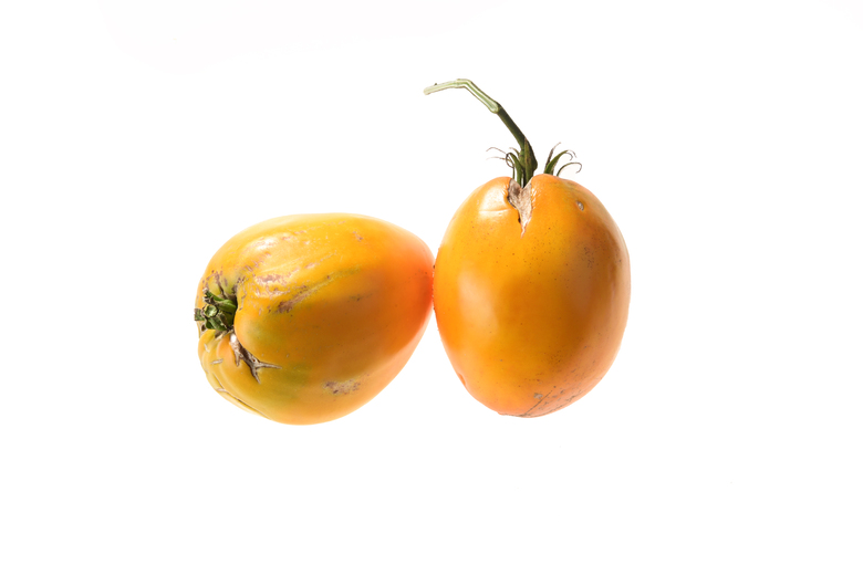 Golden King of Siberia