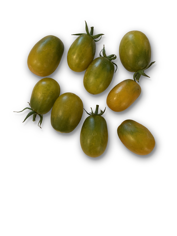 Dino Egg Green