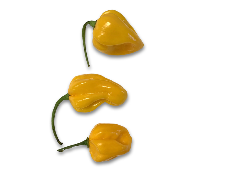 Habanero Golden