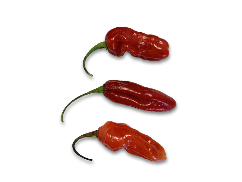 Habanero Long Red