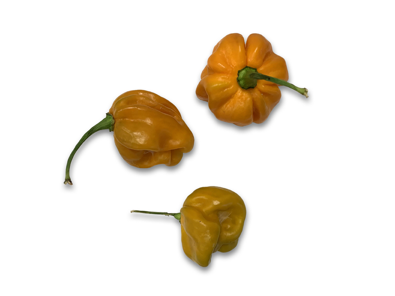 Habanero Mustard