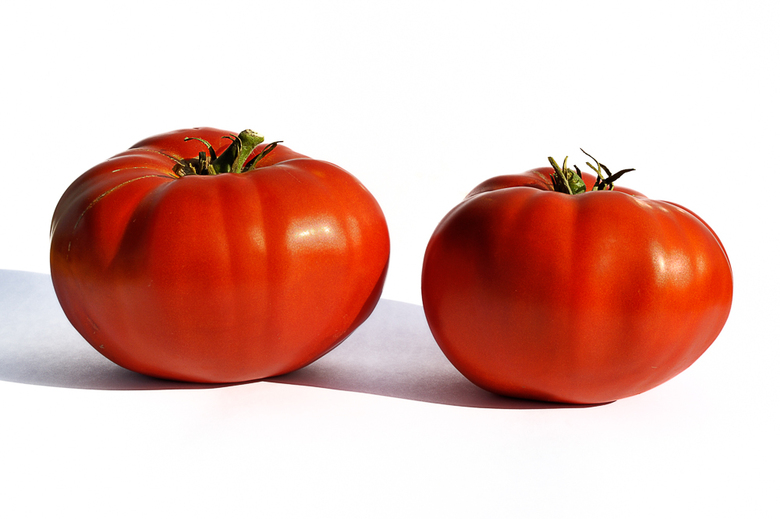 Tomate aus Lettland