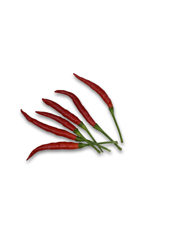 Poinsettia (Büschel)