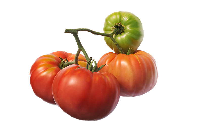 Roza Paradajz Mikulic