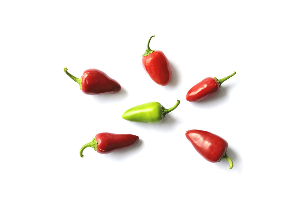 Tears of Fire (Büschel)