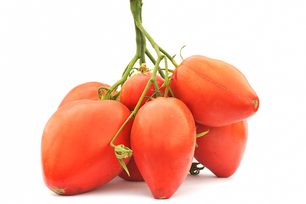 Ukrainisches Ochsenherz