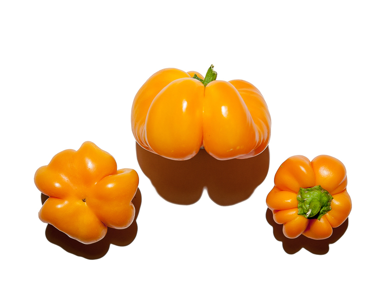 Yellow Cheese Pimento