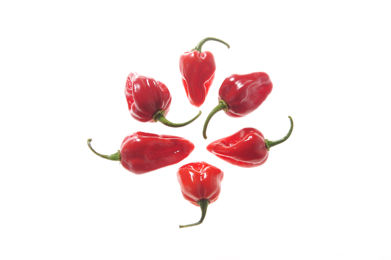 Antillais Caribbean Habanero