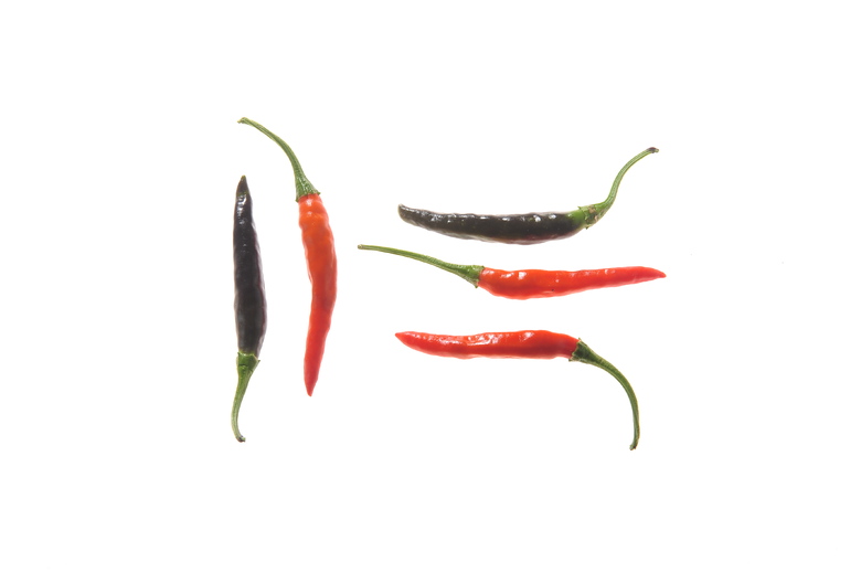 Purple Cayenne