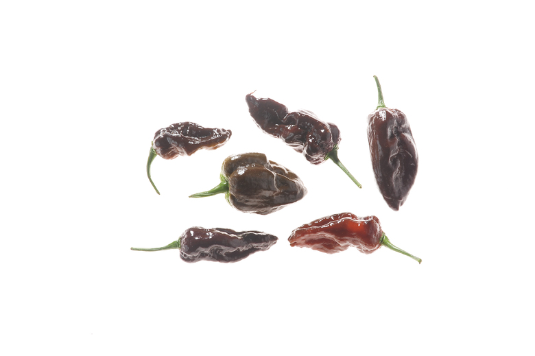 7 Pot Chaguanas Chocolate SLP