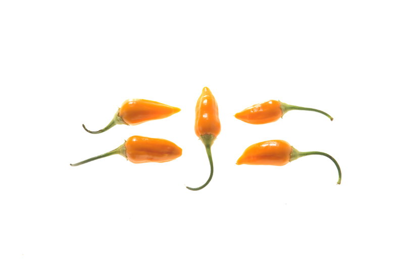 Aji Habanero