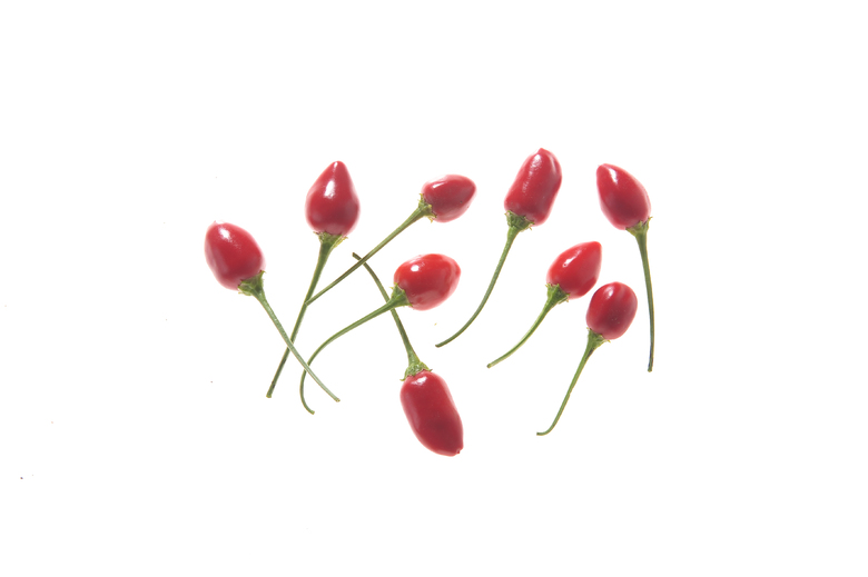 Bulgarian Teardrop