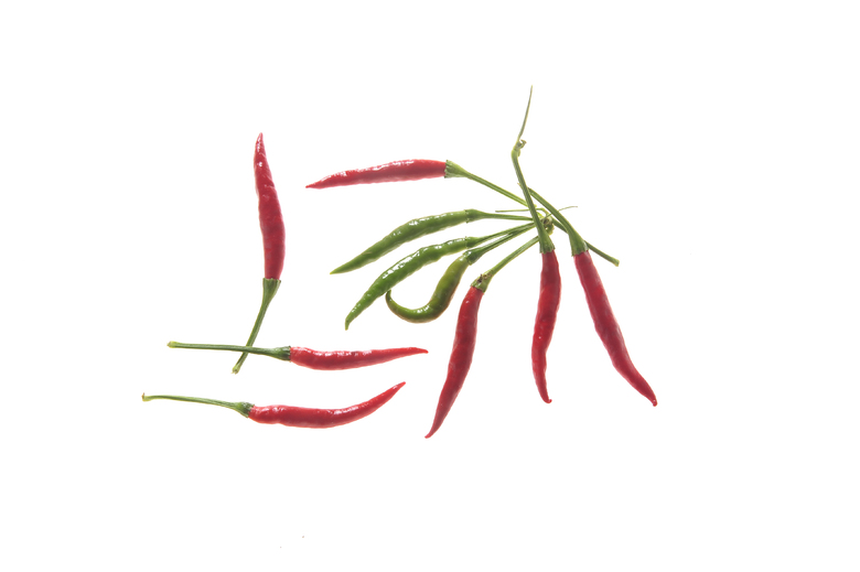 Poinsettia (Büschel)