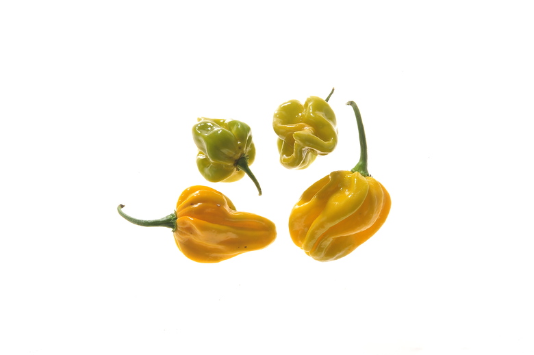 Habanero Mustard