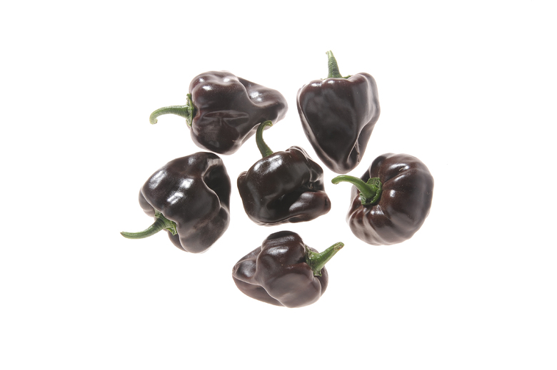 Chile de Onza