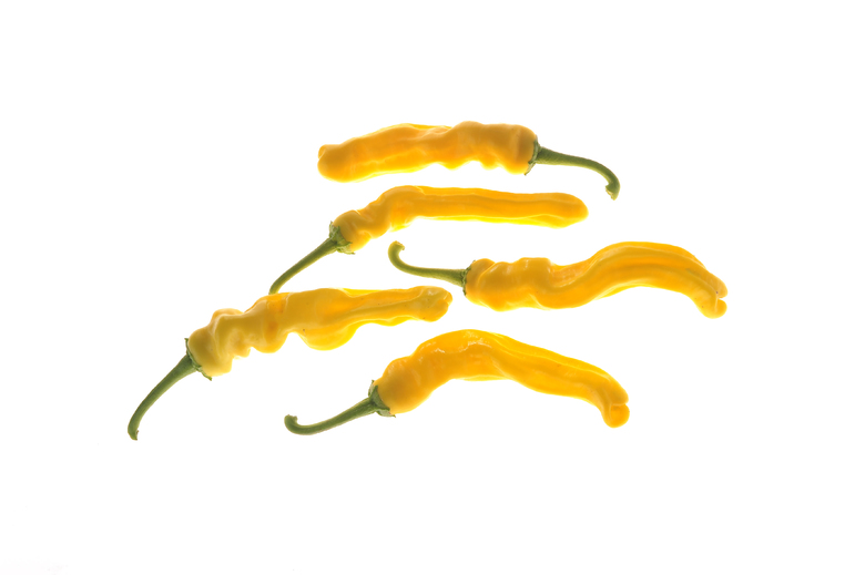 Peter Pepper Yellow