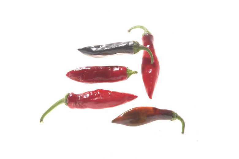 PDN x Bhut Jolokia