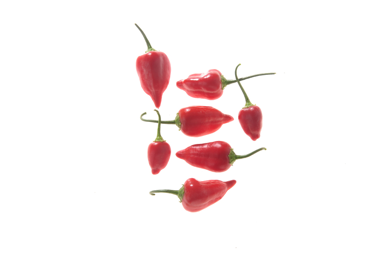 Aji Benito