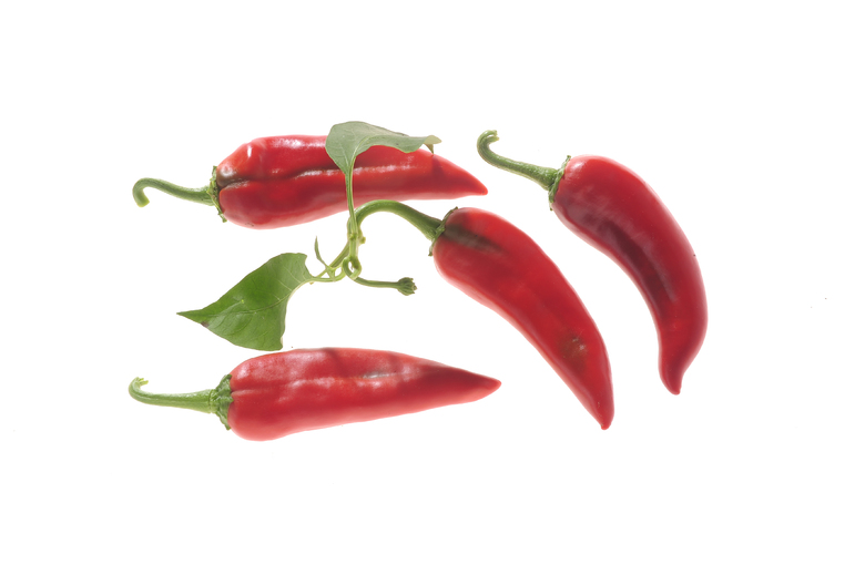 Aji Imbabura