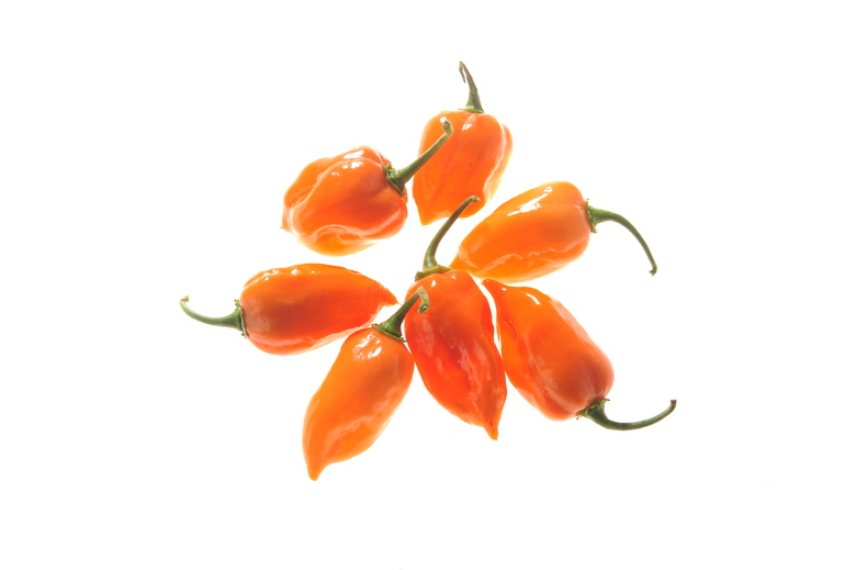 Habanero Mexican Orange