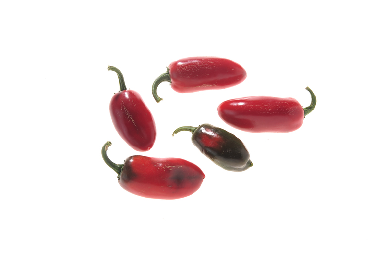 Jalapeno Conchos